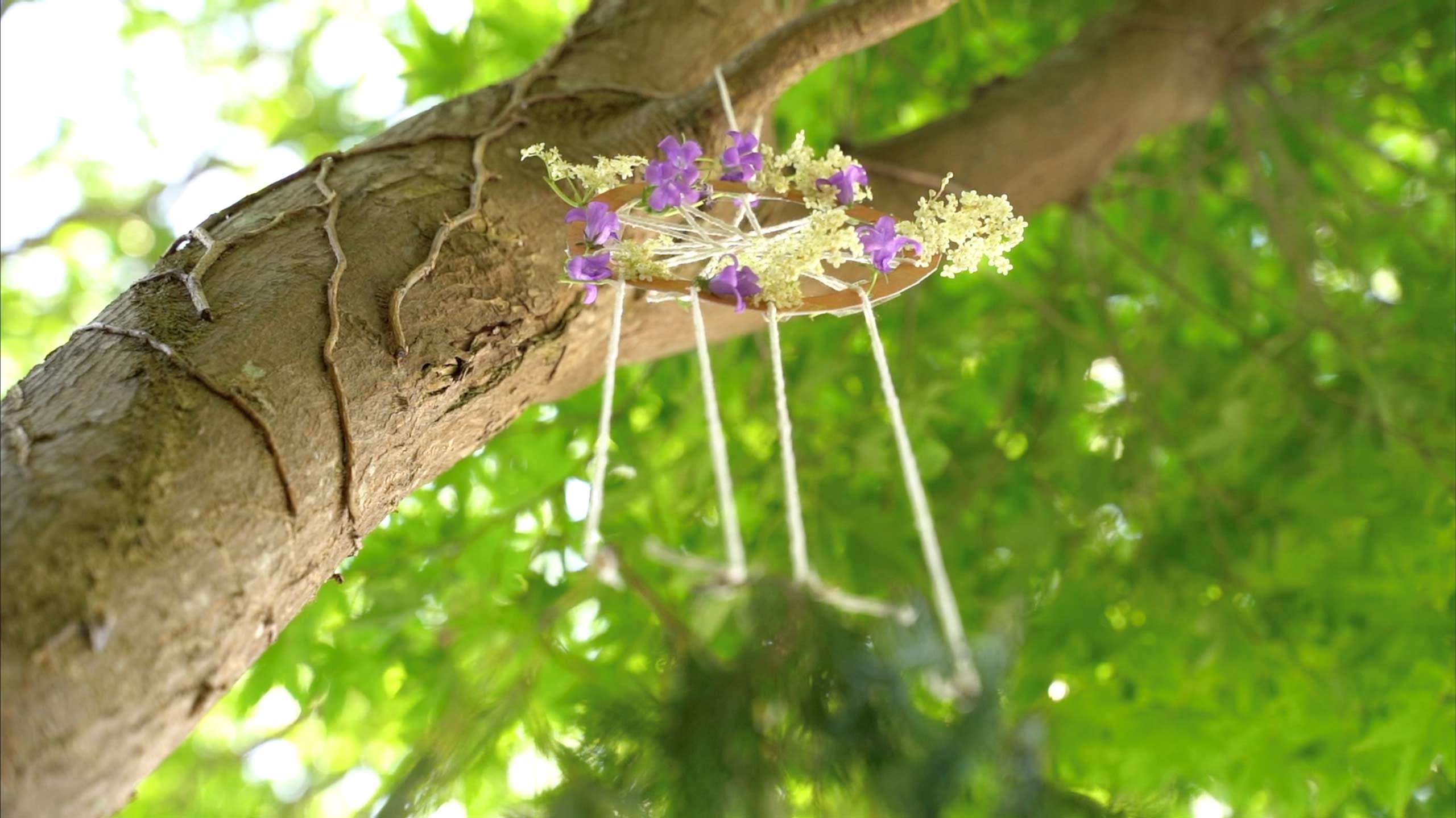 Dream Catcher. Image of dreamcatcher dangling from a treet branch from below. The dreamcatcher is decorated with flowers.