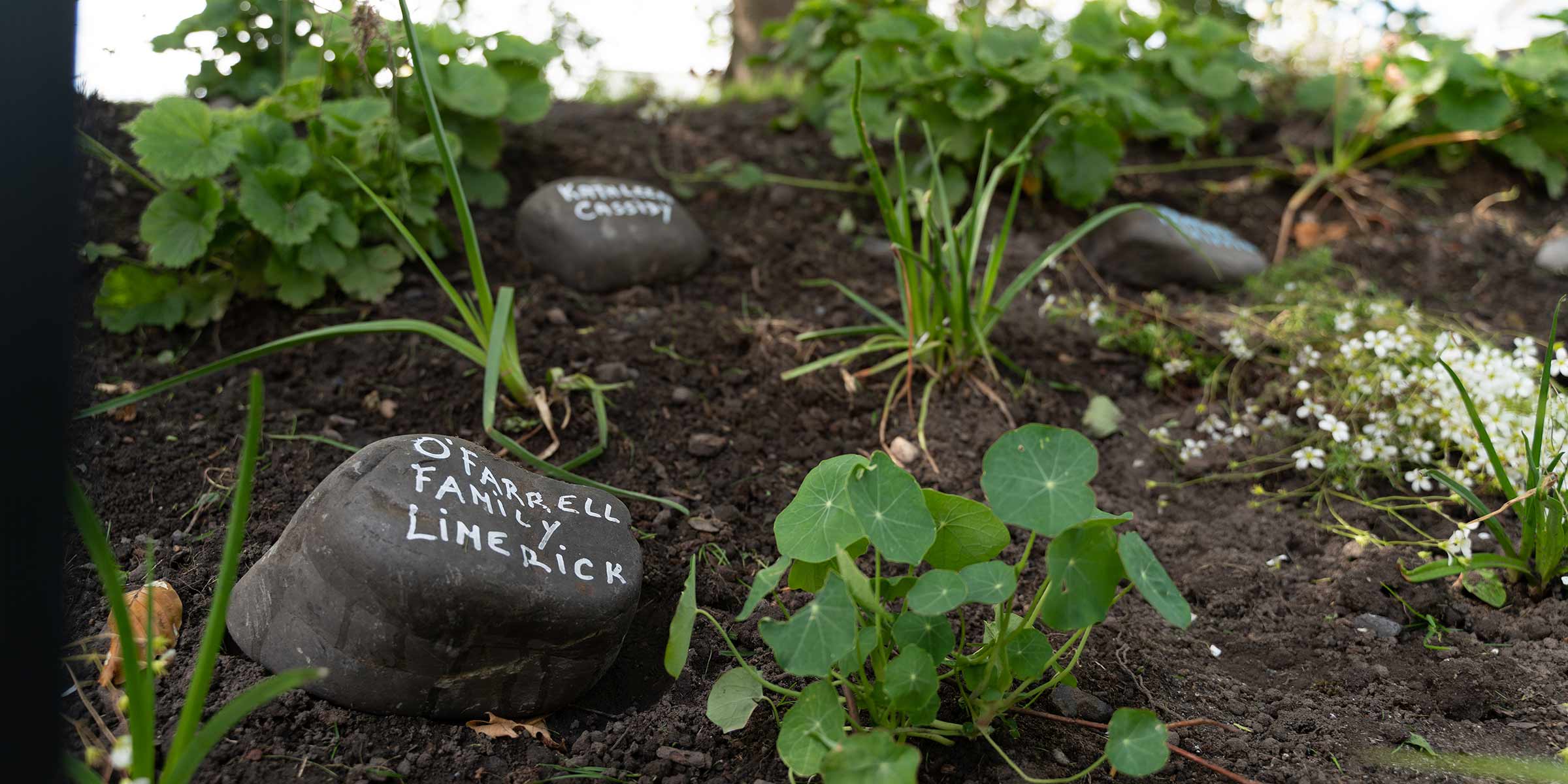 Some cobbles with family names painted on them in white paint placed in the garden.